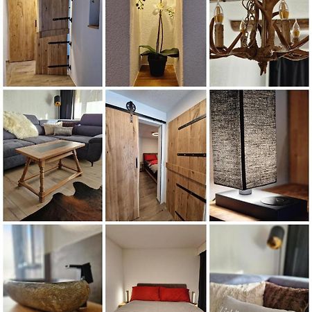 Fewo'S Und Apartment'S Schoeneck دافوس المظهر الخارجي الصورة