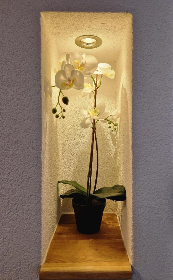 Fewo'S Und Apartment'S Schoeneck دافوس المظهر الخارجي الصورة